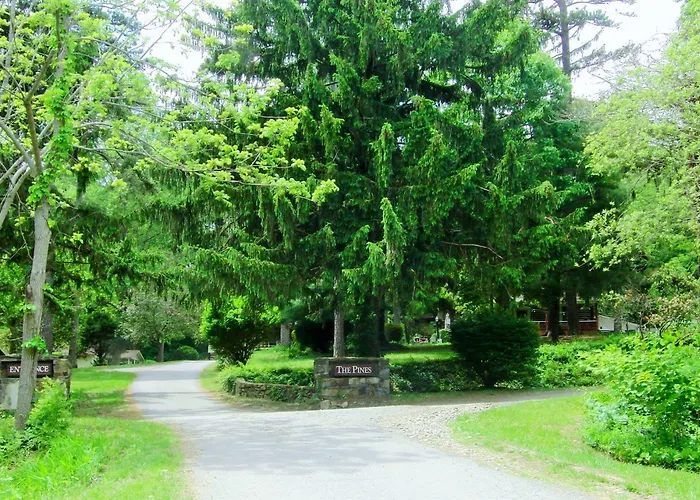 The Pines Cottages